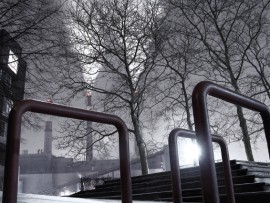 Roosevelt Island 3_opt