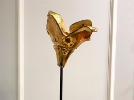 Fleur Monachesi