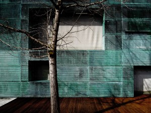 Viscione-0003