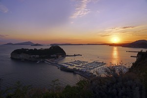 Napoli - Claudio Paliotti (1)