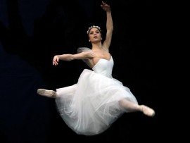 Alice Mariani (Copy) q